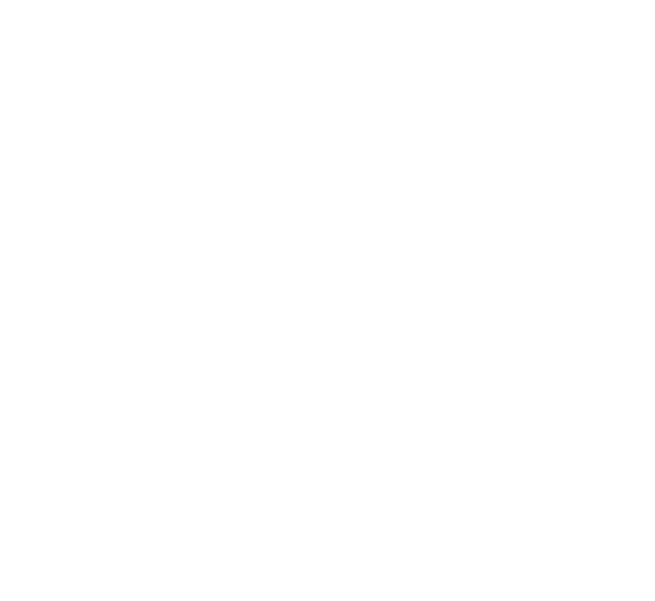 Team Heart